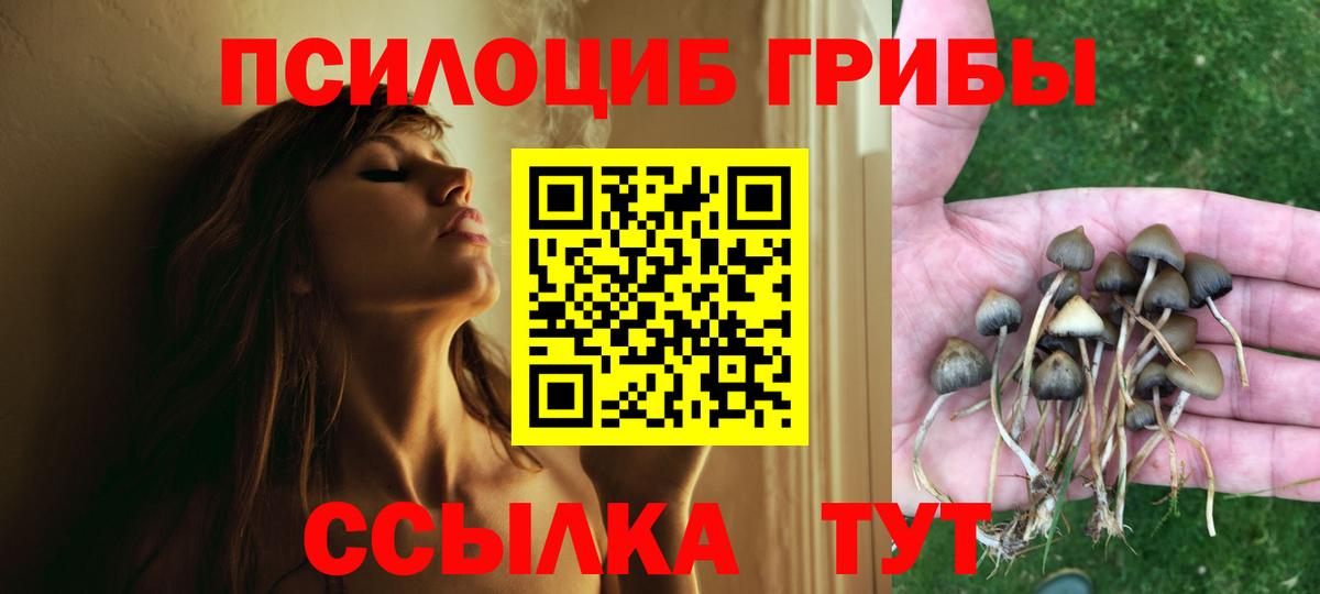 Галлюциногенные грибы мицелий Коммунар