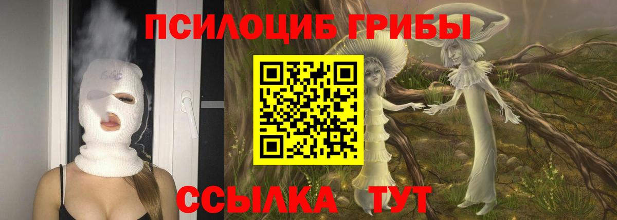 Псилоцибиновые грибы Cubensis  где купить наркоту  Коммунар  Вход с VPN 
